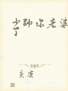 少帅你老婆又跑了封面