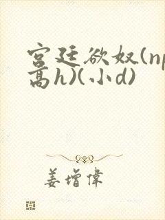 宫廷欲奴(np高h)(小d)