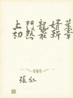 上门龙婿叶辰萧初然最新章节全文免费阅读封面