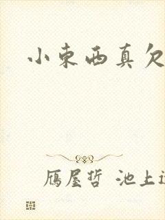 小东西真欠弄封面