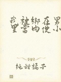 我被绑在男公厕里当肉便小说