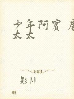 少年阿宾 房东太太