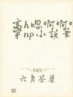 高h嗯啊啊啊快穿np小说笔趣阁