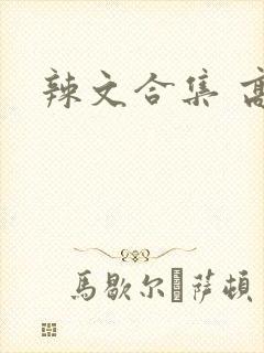辣文合集 高h封面