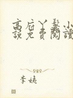 高府丫鬟小说小说免费阅读无弹窗