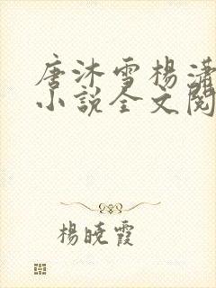 唐沐雪杨潇免费小说全文阅读封面