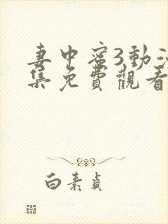 妻中蜜3动漫全集免费观看封面