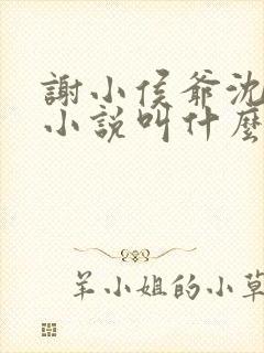 谢小侯爷沈娇娇小说叫什么