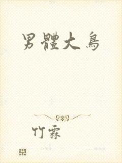 男体大鸟封面