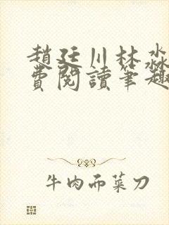 赵廷川林淼月免费阅读笔趣阁