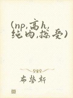 (np,高h,纯肉,总受)