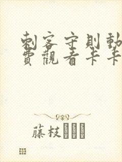 刺客守则动漫免费观看卡卡动漫