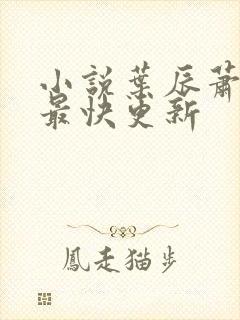 小说叶辰萧初然最快更新封面