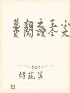 万相之王小说免费阅读全文无删减封面