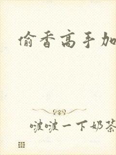 偷香高手加料封面