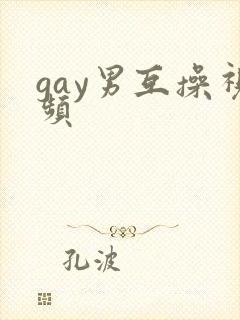 gay男互操视频