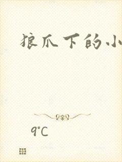 狼爪下的小雏菊封面