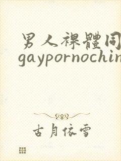 男人裸体同性恋gaypornochinese封面
