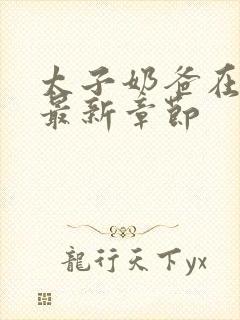 太子奶爸在花都最新章节封面