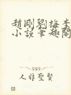 赵刚刘梅李晓雅小说笔趣阁封面