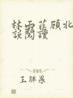 林雨菲顾北潇小说阅读
