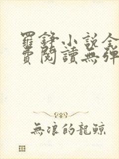 罗铮小说全文免费阅读无弹窗