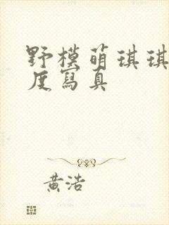 野模萌琪琪大尺度写真