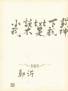 小说txt下载我不是戏神