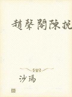 赵声阁陈挽小说封面