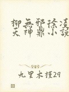 柳无邪徐凌雪吞天神鼎小说封面