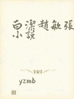 白洁赵敏张倩 小说封面