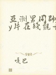 亚洲男同帅gay片在线观看