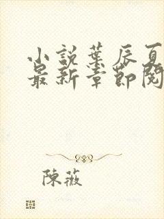 小说叶辰夏若雪最新章节阅读封面