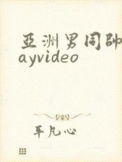 亚洲男同帅哥gayvideo