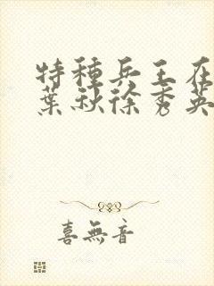 特种兵王在山村叶秋徐秀英封面