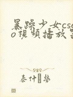 暴躁少女csgo视频播放器推荐