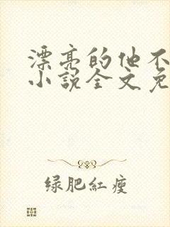 漂亮的他不说话小说全文免费阅读无删减