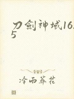 刀剑神域16.5封面