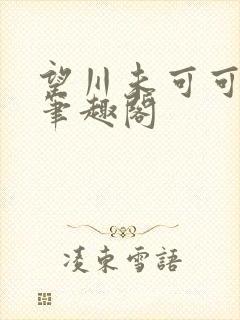 望川未可可小说笔趣阁