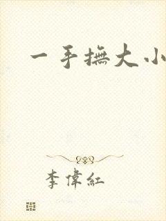 一手抚大小说