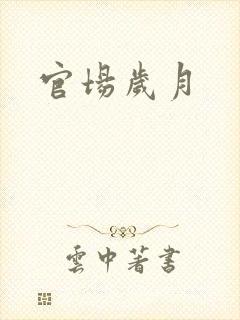 官场岁月