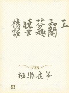 杨晓芬和王磊小说笔趣阁封面