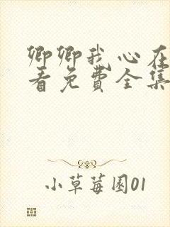 卿卿我心在线观看免费全集电视剧封面