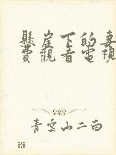 悬崖下的妻子免费观看电视剧全集