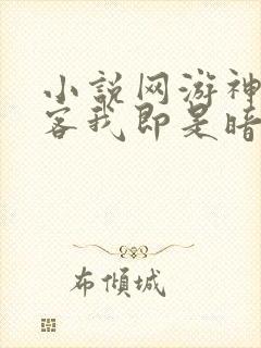 小说网游神级刺客我即是暗影