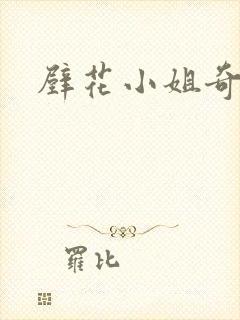 壁花小姐奇遇记