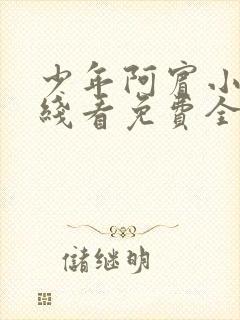 少年阿宾小说在线看免费全文无弹窗