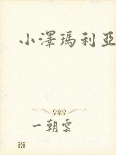 小泽玛利亚作品