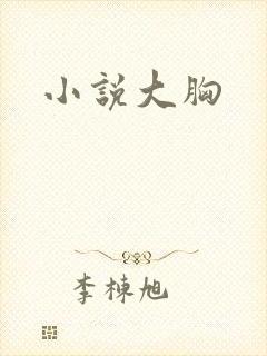 小说大胸