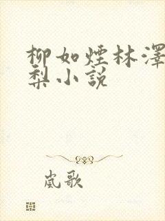 柳如烟林泽沈甜梨小说